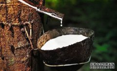 橡膠上漲仍可期，焦炭期現(xiàn)聯(lián)動(dòng)，向