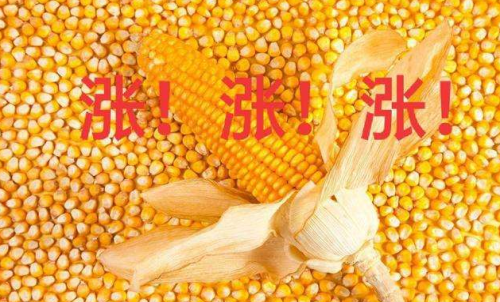 玉米期貨開戶要驗資嗎？為何不能買