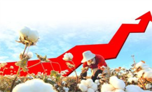 棉花期貨價格變化和哪些因素有關(guān)？