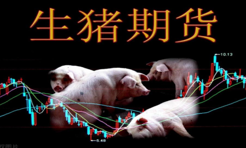 生豬期貨的作用和交易規(guī)則有哪些？