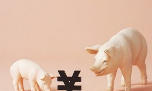 一手生豬期貨交易成本要多少錢？保