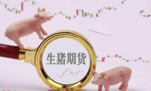 生豬期貨未來(lái)走勢(shì)將會(huì)如何？生豬期