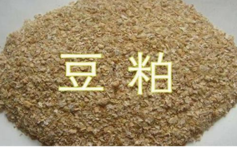 期貨豆粕和菜粕的關(guān)聯(lián)性，菜粕豆粕